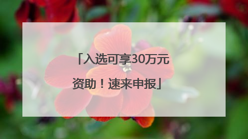 入选可享30万元资助！速来申报