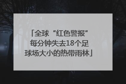 全球“红色警报”  每分钟失去18个足球场大小的热带雨林