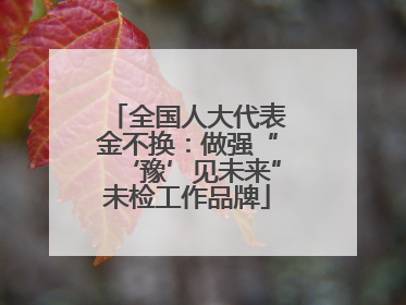 全国人大代表金不换：做强“‘豫’见未来”未检工作品牌