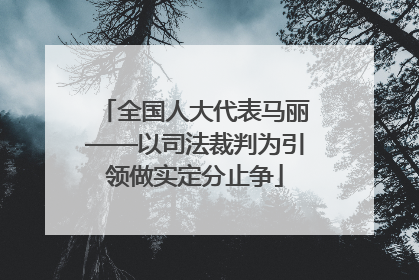 全国人大代表马丽——以司法裁判为引领做实定分止争