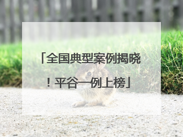 全国典型案例揭晓！平谷一例上榜
