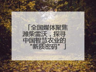全国媒体聚焦潍柴雷沃，探寻中国智慧农业的“新质密码”