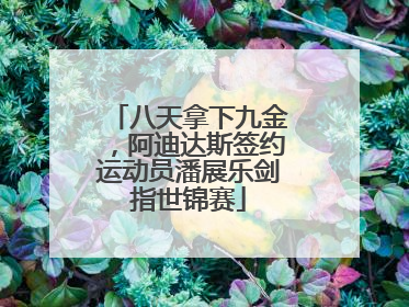 八天拿下九金，阿迪达斯签约运动员潘展乐剑指世锦赛