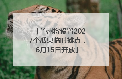 兰州将设置2027个瓜果临时摊点，6月15日开放
