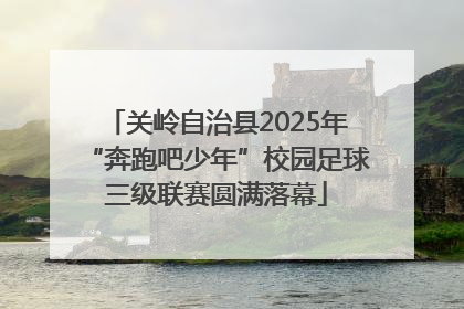 关岭自治县2025年“奔跑吧少年”校园足球三级联赛圆满落幕