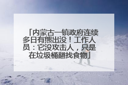 内蒙古一镇政府连续多日有熊出没！工作人员：它没攻击人，只是在垃圾桶翻找食物