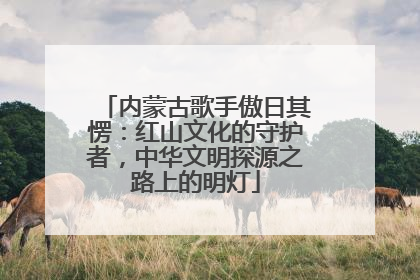 内蒙古歌手傲日其愣：红山文化的守护者，中华文明探源之路上的明灯