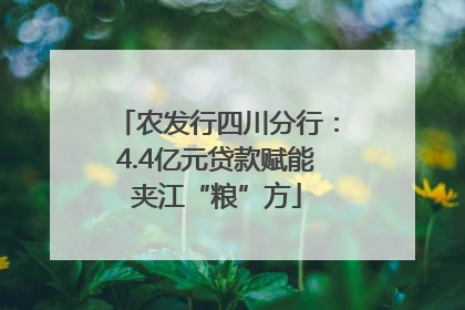 农发行四川分行：4.4亿元贷款赋能夹江“粮”方
