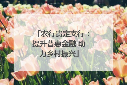农行贵定支行：提升普惠金融 助力乡村振兴