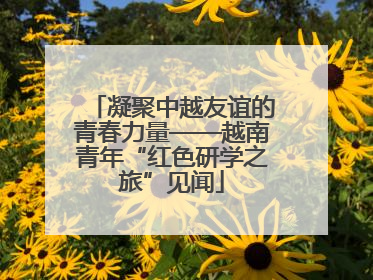 凝聚中越友谊的青春力量——越南青年“红色研学之旅”见闻