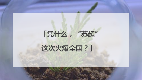 凭什么，“苏超”这次火爆全国？