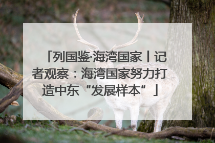 列国鉴·海湾国家丨记者观察：海湾国家努力打造中东“发展样本”