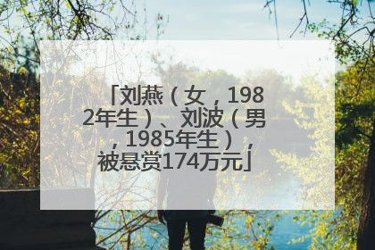 刘燕（女，1982年生）、刘波（男，1985年生），被悬赏174万元
