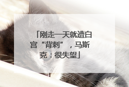 刚走一天就遭白宫“背刺”，马斯克：很失望