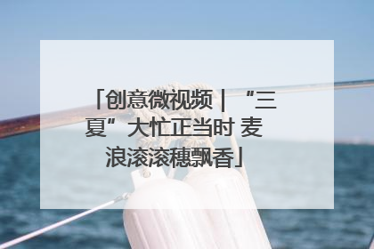 创意微视频｜“三夏”大忙正当时 麦浪滚滚穗飘香