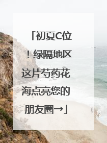 初夏C位！绿隔地区这片芍药花海点亮您的朋友圈→