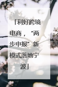 利好跨境电商，“两步申报”新模式落地宁波