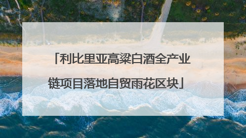 利比里亚高粱白酒全产业链项目落地自贸雨花区块