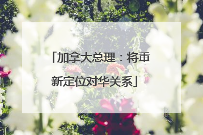 加拿大总理：将重新定位对华关系