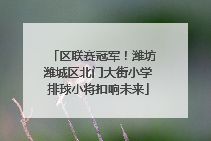 区联赛冠军！潍坊潍城区北门大街小学排球小将扣响未来