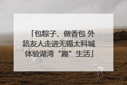 包粽子、做香包 外籍友人走进无锡太科城体验湖湾“趣”生活