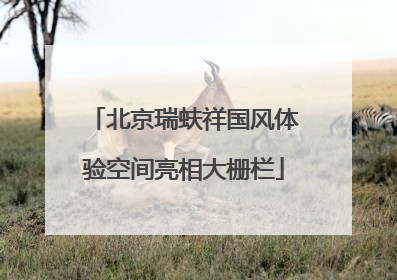 北京瑞蚨祥国风体验空间亮相大栅栏