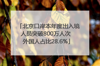 北京口岸本年度出入境人员突破800万人次 外国人占比28.6%