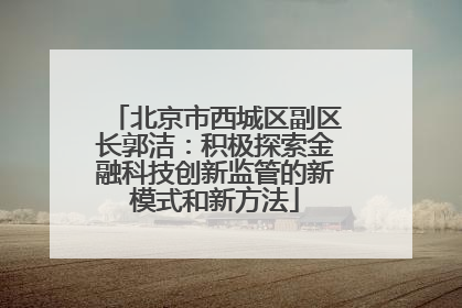 北京市西城区副区长郭洁：积极探索金融科技创新监管的新模式和新方法