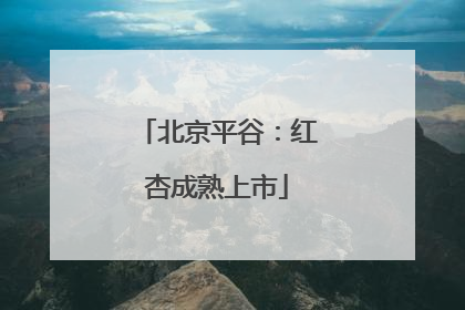 北京平谷：红杏成熟上市