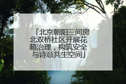 北京朝阳三间房北双桥社区开展花箱治理，构筑安全与诗意共生空间