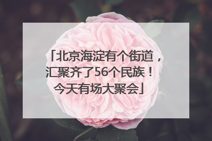 北京海淀有个街道，汇聚齐了56个民族！今天有场大聚会