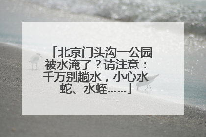 北京门头沟一公园被水淹了？请注意：千万别趟水，小心水蛇、水蛭……