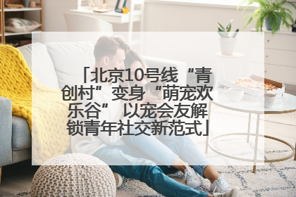 北京10号线“青创村”变身“萌宠欢乐谷” 以宠会友解锁青年社交新范式