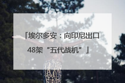 埃尔多安：向印尼出口48架“五代战机”