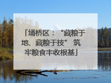 埇桥区：“藏粮于地、藏粮于技” 筑牢粮食丰收根基