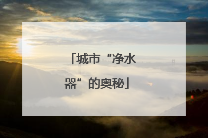 城市“净水器”的奥秘