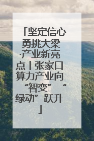 坚定信心 勇挑大梁·产业新亮点丨张家口算力产业向“智变”“绿动”跃升
