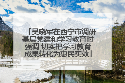 吴晓军在西宁市调研基层党建和学习教育时强调 切实把学习教育成果转化为惠民实效