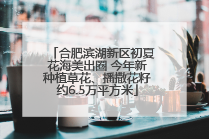 合肥滨湖新区初夏花海美出圈 今年新种植草花、播撒花籽约6.5万平方米