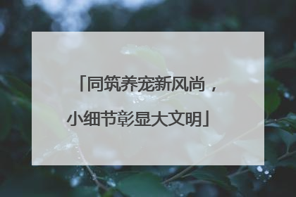 同筑养宠新风尚，小细节彰显大文明