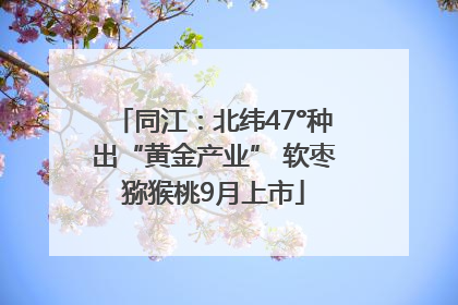 同江：北纬47°种出“黄金产业” 软枣猕猴桃9月上市