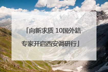向新求质 10国外籍专家开启西安调研行