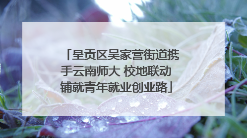 呈贡区吴家营街道携手云南师大 校地联动铺就青年就业创业路
