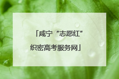 咸宁“志愿红”织密高考服务网