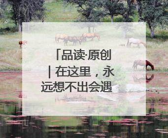品读·原创｜在这里，永远想不出会遇到什么动物