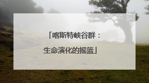 喀斯特峡谷群：生命演化的摇篮