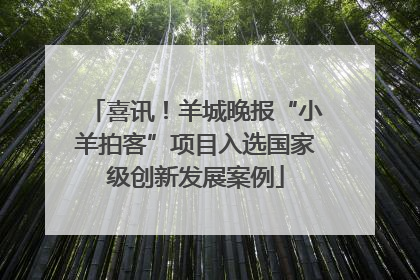 喜讯！羊城晚报“小羊拍客”项目入选国家级创新发展案例