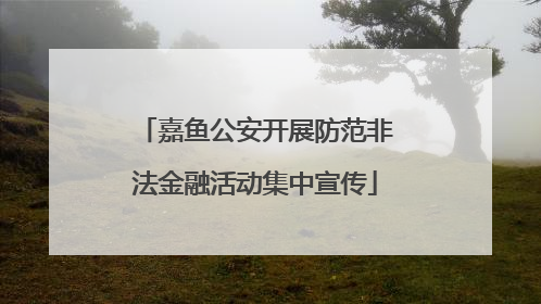 嘉鱼公安开展防范非法金融活动集中宣传