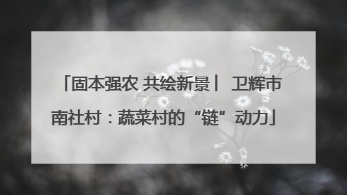 固本强农 共绘新景 ︳卫辉市南社村：蔬菜村的“链”动力