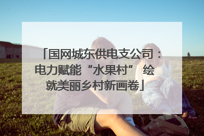 国网城东供电支公司：电力赋能“水果村” 绘就美丽乡村新画卷
